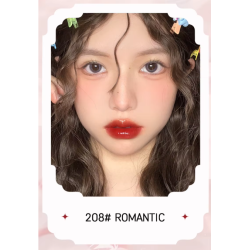 Labial Aterciopelado Estilo Coreano Novo 6066