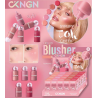 BLUSH LIQUIDO DUPE PERIPERA CK0114 -CKNGN