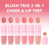 BLUSH LIQUIDO LARGA DURACIÓN UC141 - USHAS
