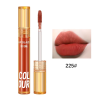 LIP GLAZE SFR COLOR 5730