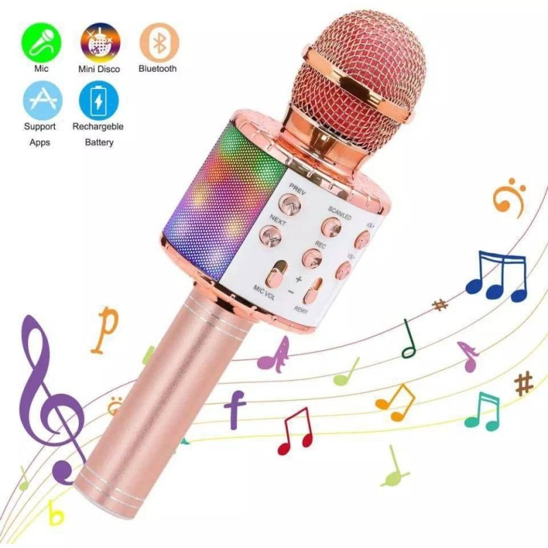 Micrófono Karaoke 735