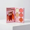 LIBRO SOMBRAS-ILUMINADOR-BLUSH-POLVOS Y CEJAS CD552