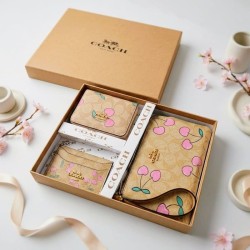Cajita de Accesorios Coach YDBL119