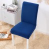 Forros de Silla Llanos 2049