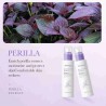 Tónico Extracto de Polipéctido y Perilla Bioaqua BQY57294