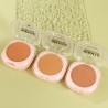 Polvo y Corrector 2 en 1 S.f.r Color 7695