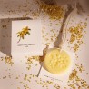 Ambientador Colgante de Cera Aromas Frutales y Plantas 5616
