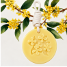 Ambientador Colgante de Cera Aromas Frutales y Plantas 5616