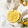 Ambientador Colgante de Cera Aromas Frutales y Plantas 5616