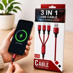Cable Usb 3 en 1 4745