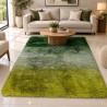 ALFOMBRA COLORIDA CON DIFUMINADO AFELPADA 1.60x1.20mt LD-1024