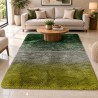 ALFOMBRA COLORIDA CON DIFUMINADO AFELPADA 1.60x1.20mt LD-1024