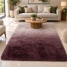 ALFOMBRA COLORIDA CON DIFUMINADO AFELPADA 1.60x1.20mt LD-1024