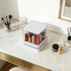 Organizador de Labiales 4683-281
