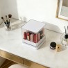 Organizador de Labiales 4683-281