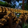 Manguera de Luces Led 100 Luces 10mt 1829-1