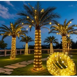 Manguera de Luces Led 100 Luces 10mt 1829-1