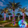 Manguera de Luces Led 100 Luces Multicolor 10mt 1829-2