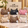 Cartera Coach YDBL10015-1