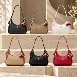 Cartera Coach YD808