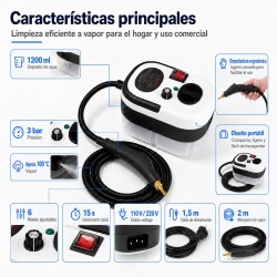 Limpiador a vapor portátil 2579