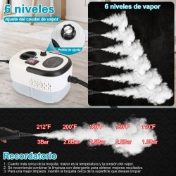 Limpiador a vapor portátil 2579