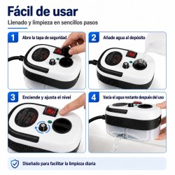 Limpiador a vapor portátil 2579