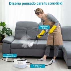 Limpiador a vapor portátil 2579