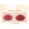 Labial Aterciopelado Novo 5913