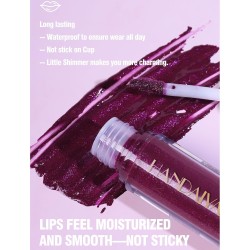 LIP GLOSS MATTE ACABADO BRILLOSO H1068 - HANDAYAN