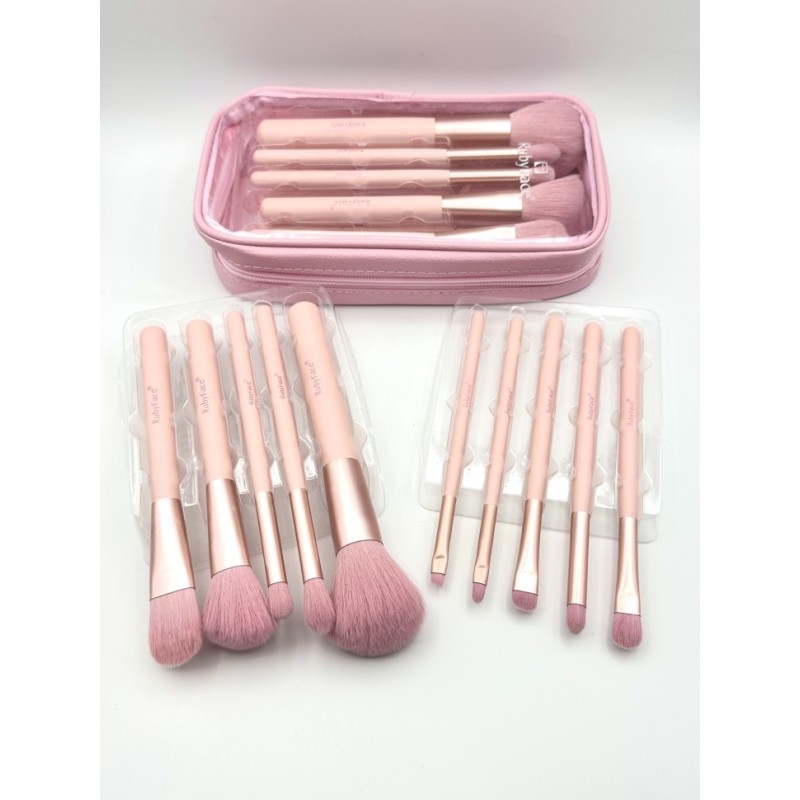 SET DE 10 BROCHAS CON COBERTOR SX10