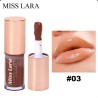 LIP GLOSS HIDRATANTE CON VITAMINA E MS-290 - MISS LARA