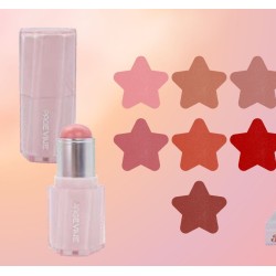 BLUSH EN BARRA ACABADO HIDRATANTE P0220 - PAGE VINE