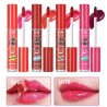 TINTA DE LABIOS LIP GLOSS S.F.R COLOR 5830