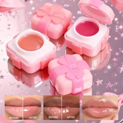 LIPGLOSS CAJITA DE REGALO S.F.R COLOR 5886