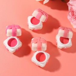 LIPGLOSS CAJITA DE REGALO S.F.R COLOR 5886