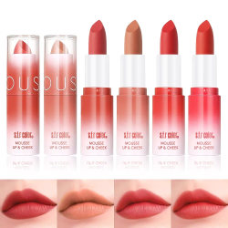 LIPSTICK EN BARRA LABIOS Y MEJILLAS S.F.R COLOR 5839