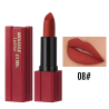 MOUSSE LIPSTICK S.F.R COLOR 5823