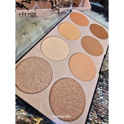 FREEDON CONTOUR PALETTE S.F.R COLOR 7959