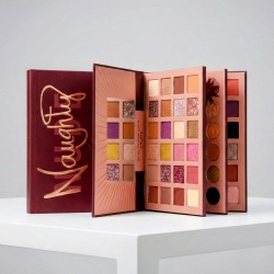 LIBRO SOMBRAS-ILUMINADOR-BLUSH-POLVOS- LIPSTICK Y CEJAS CD911