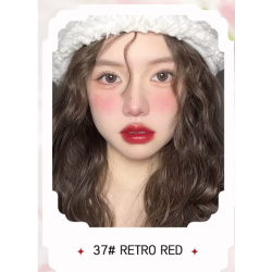 Labial Aterciopelado Estilo Coreano Novo 6066