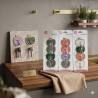 Set de 4 adhesivos para pared diseño manzana 953
