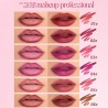 2 IN 1 LABIAL Y DELINEADOR MS-649 - MISS LARA