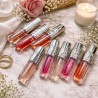 Lipgloss Ambition Hyaluron Dupe de Loreal - Victoria Spirit 6097