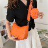Cartera AYF-55