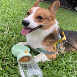 Tomatodo de Mascota 1810