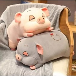 Cerdito con Manta 1811-2