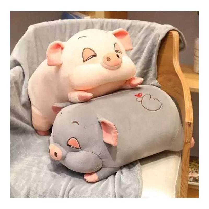 Cerdito con Manta 1811-2