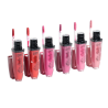 LIPGLOSS MATTE USHAS  LG2537