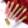 LIP QUEEN BRILLO LABIAL USHAS LG2468A 1152